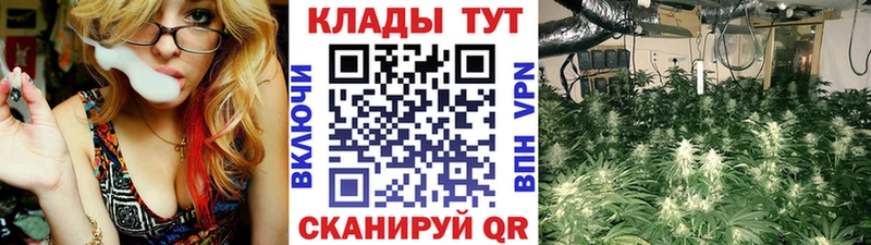 Как найти закладки Выборг Гашиш Марихуана КОКАИН АМФЕТАМИН Меф мяу мяу