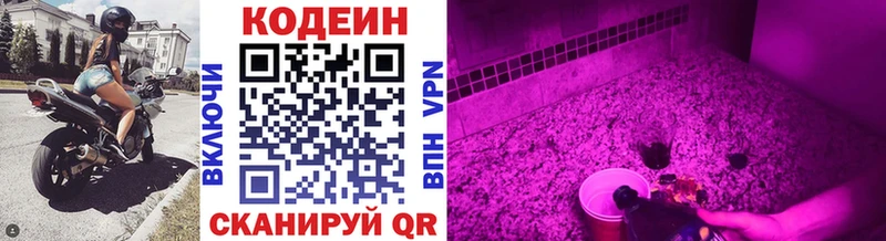 мега ONION  что такое   Выборг  Codein Purple Drank 