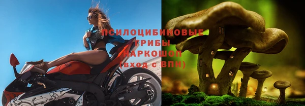 молекула духа Балахна