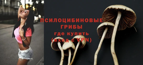 молекула духа Балахна