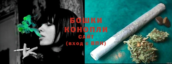 прущие крисы Белокуриха