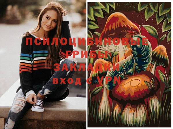 мдпв Беломорск