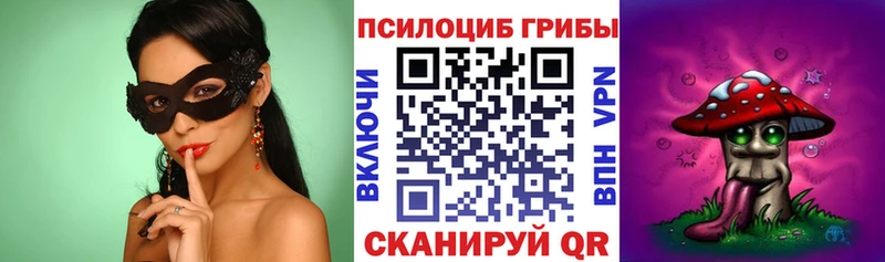Галлюциногенные грибы GOLDEN TEACHER  хочу наркоту  Выборг 
